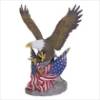 #29156 Let The Eagle Soar $49.95
