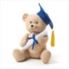 Graduation Bear $14.00 36703